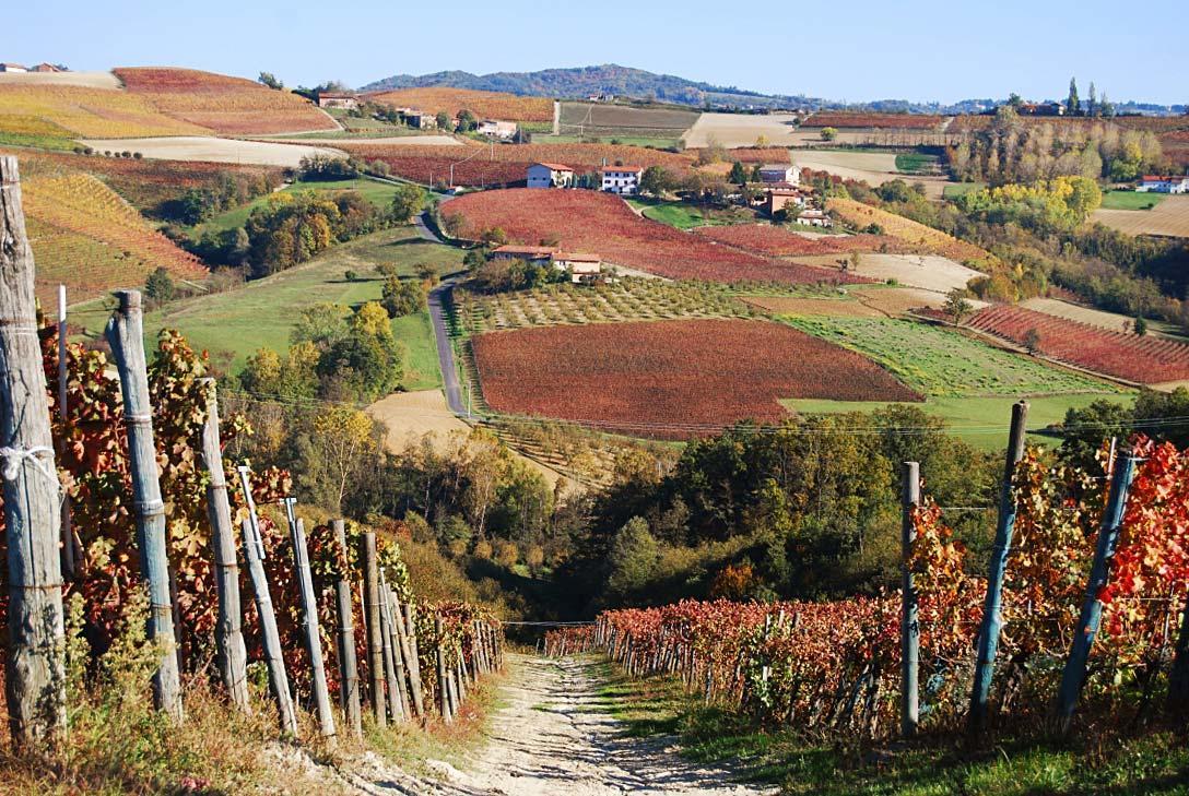 9 Vini Panzió Alba  Kültér fotó